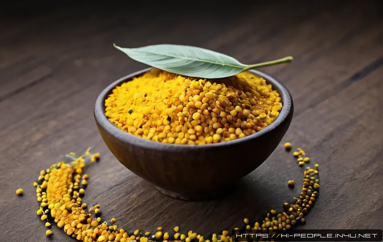 गांधी के अहिंसक आंदोलन को समझें: सिद्धांत, प्रमुख अभियान और आज की सीख 4 마하트마 간디 비폭력 운동 관련 이미지 2
